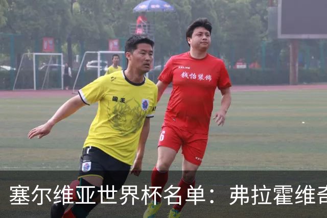 塞尔维亚世界杯名单：弗拉霍维奇领衔 古德利在列